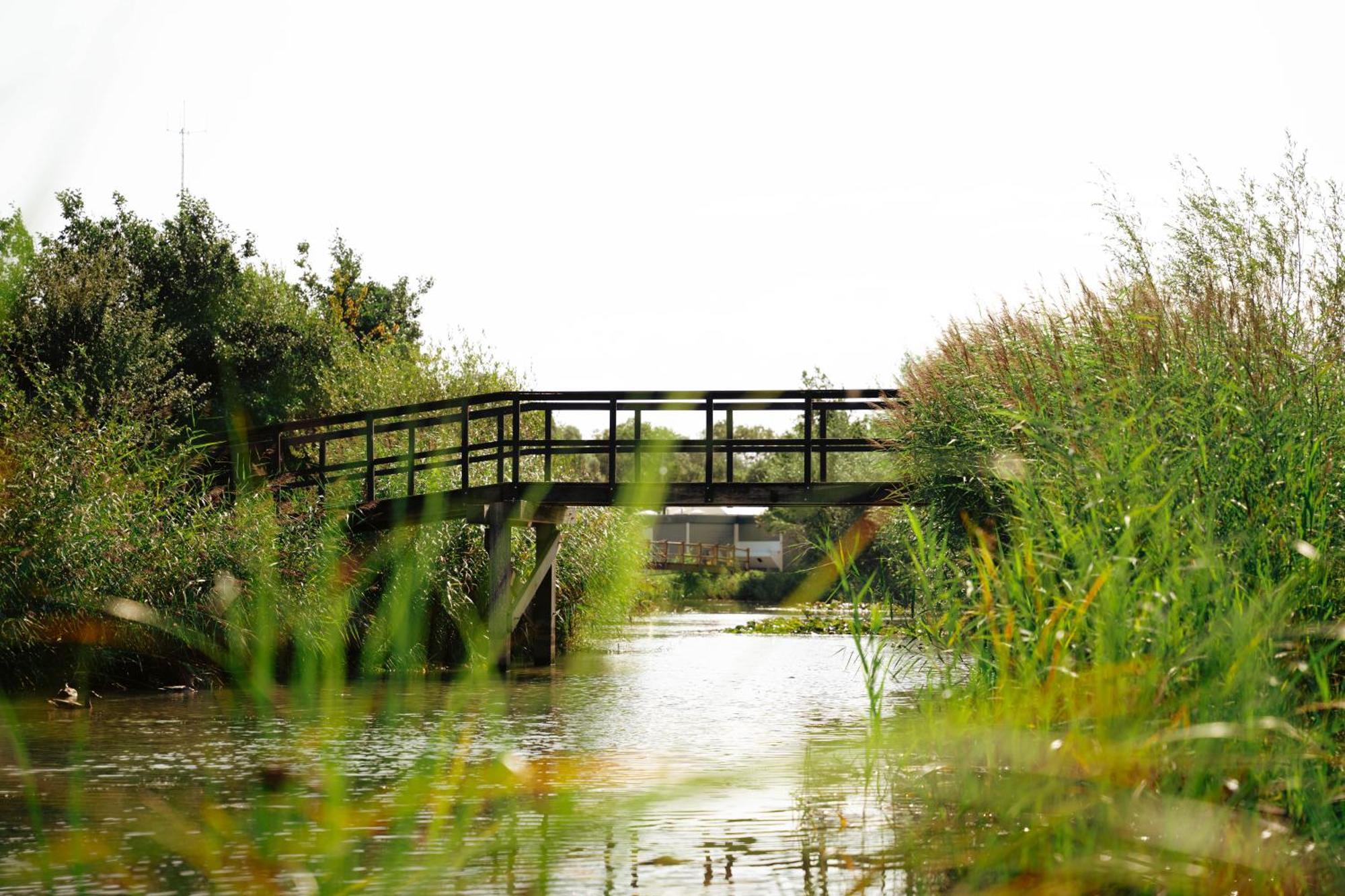 Resort Land & Zee Scharendijke Eksteriør billede